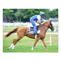 Chestnut Filly on the Turf Photographic Print