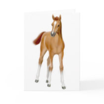 Chestnut Foal Greeting Card