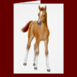 Chestnut Foal Greeting Card cards