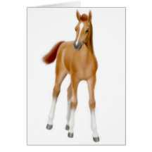 Chestnut Foal Greeting Card