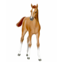 Chestnut Foal Ladies Babydoll t-shirts