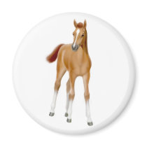 Chestnut Foal Magnet by twopurringcats Chestnut Foal Magnet