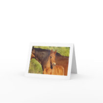 Chestnut foal note card by KheestoneImages Chestnut foal note card