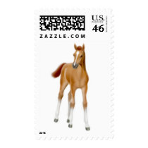Chestnut Foal Postage