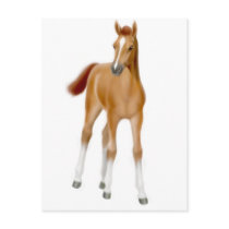 Chestnut Foal Postcard by twopurringcats Chestnut Foal Postcard