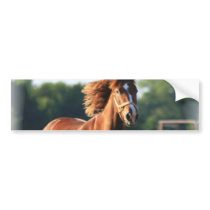 Chestnut Galloping Horse Bumper Sticker