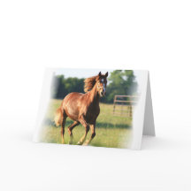 horse cards