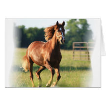 Chestnut Galloping Horse Greeting Card