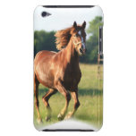 Chestnut Galloping Horse iTouch Case Ipod Case-mate Cases