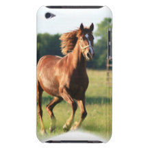 Chestnut Galloping Horse iTouch Case iPod Case-Mate Cases