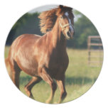 Chestnut Galloping Horse Plate