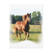 Chestnut Galloping Horse Postcard