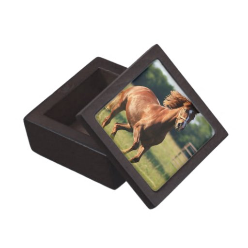 Chestnut Galloping Horse Premium Gift Box
