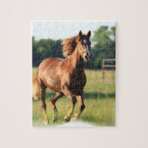 Chestnut Galloping Horse Puzzle
