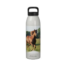 Chestnut Galloping Horse Water Bottle
