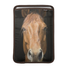 Chestnut Horse 13" MacBook Sleeve