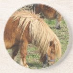 Chestnut Horse Coaster