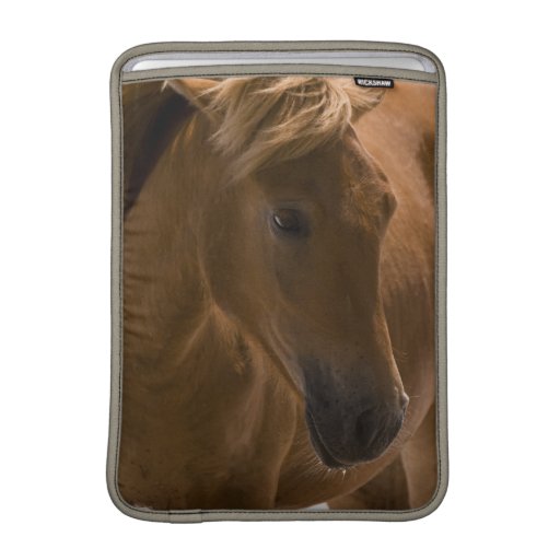 Chestnut Horse Design 13" MacBook Sleeve