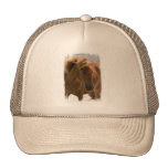 Chestnut Horse Design Baseball Hat