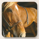 Chestnut Horse Design Cork Coasters