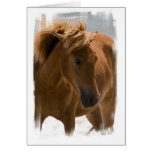 Chestnut Horse Design Greeting Card