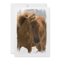 Chestnut Horse Design Invitation
