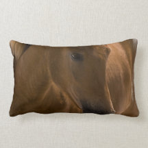Chestnut Horse Design Pillow