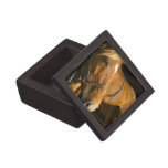 Chestnut Horse Design Premium Gift Box
