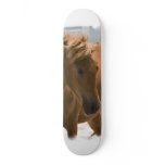 Chestnut Horse Design Skateboard