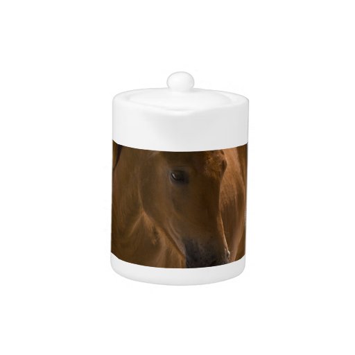 Chestnut Horse Design Teapot