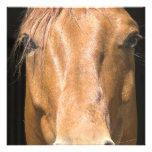Chestnut Horse Invitation