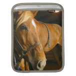 Chestnut Horse Photo iPad Sleeve