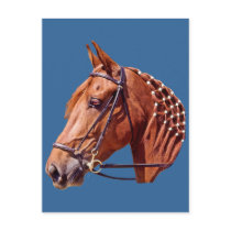 Chestnut Horse postcards