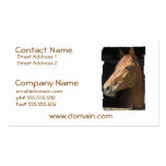 Chestnut Horse Profile Business Cards