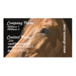 Chestnut Horse Profile Business Cards