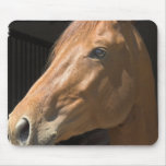 Chestnut Horse Profile Mouse Pad