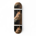 Chestnut Horse Profile Skateboard