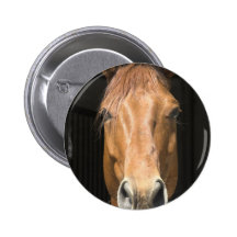 Chestnut Horse Round Button