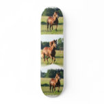Chestnut Horse Skateboard