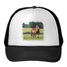 Chestnut Horse Standing Baseball Hat