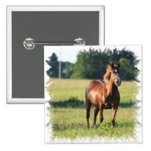 Chestnut Horse Standing Pin