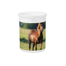 Chestnut Horse Standing Pitcher