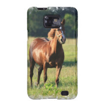 Chestnut Horse Standing Samsung Galaxy Case