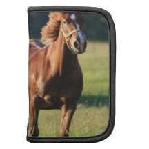 Chestnut Horse Standing Wallet Folio Organizers