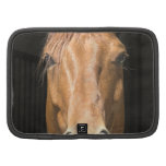 Chestnut Horse Wallet Folio  Folio Planner