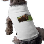 Chestnut Horse with a Blaze Dog Shirt