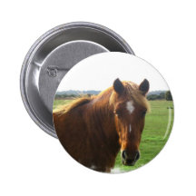 Chestnut Horse with a Blaze Round Pin