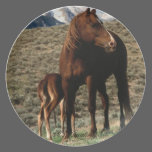 Chestnut Mare and Foal plates