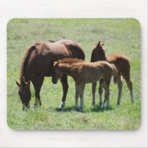 Chestnut Mare & Foals Mousepad