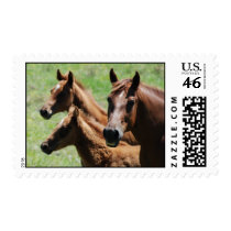 Chestnut Mare & Foals Postage postage by smilodonart Chestnut Mare & Foals Postage postage
